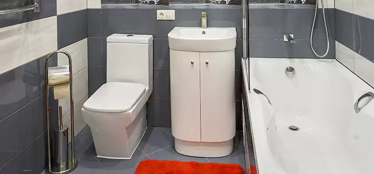 Hansgrohe Shaving Mirror Rialto